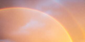 What Happens After Coming Out? Navigating Life as Your True Self Freedom After Coming Out