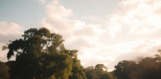 Building Strong LGBTQ+ Communities: How to Create Meaningful Connections Empty picnic table in golden hour park, long shadows